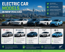 Tesla Model Y, BYD Atto 1, MG ZS EV, Dongfeng Box Remain Popular EV Choices Among NZ Drivers